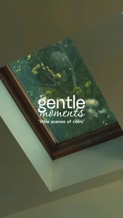 gentle moments