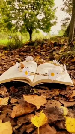 autumn vlog