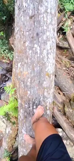 waterfalls 