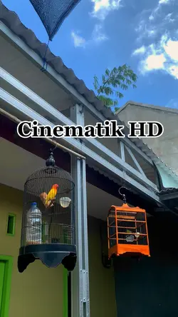 Cinematik filter HD