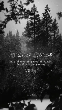 Quran template ❤️