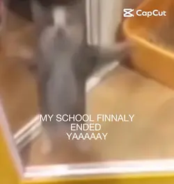 YIPEEE