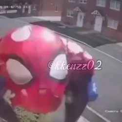sapirdarman