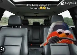 Elmo