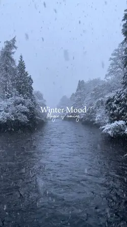 Winter mood