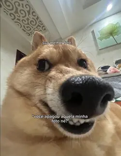 Sua Melhor Foto