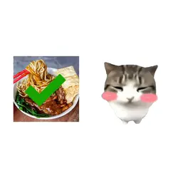 Dam dam di di Cat