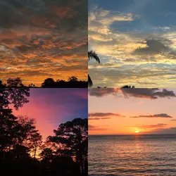 4 pics