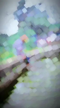 vairal tempelt video