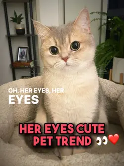 Her eyes🥹❤️