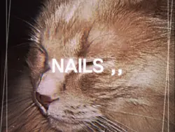 HEELZ NAILZ BLADE<3