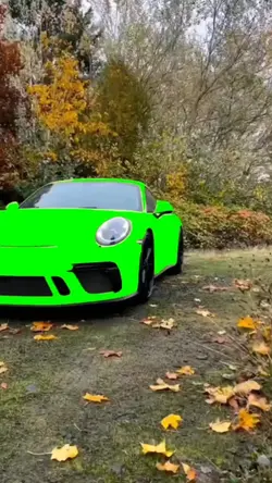 porsche Green screen