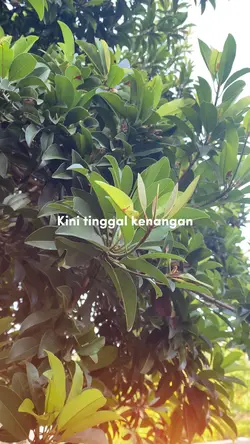 Tinggal kenangan