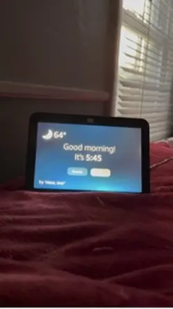 Vlog 
