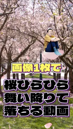 画像1枚🌸