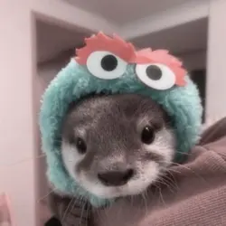Otters <33