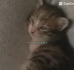 ....