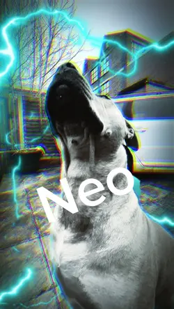 Neo