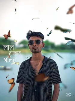গুলবাহার 