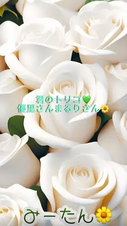 運命の人💚　みーたん🌼