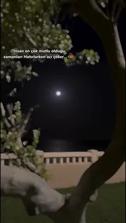 duygusal şablon 