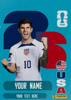 Panini sticker USA