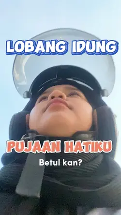 Lobang hidung