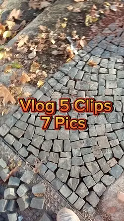 Vlog Projekt 