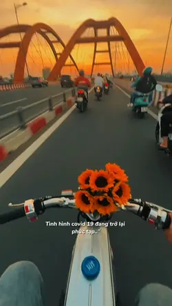 Tình Hình Covid 19