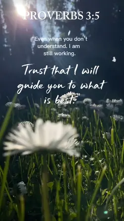 Proverbs 3:5