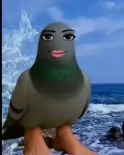 New viral trend 