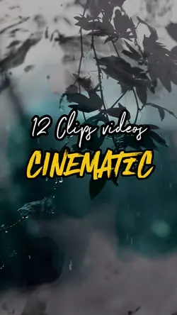 12 CLIPS VIDEOS