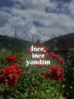 Maşallah yavrum