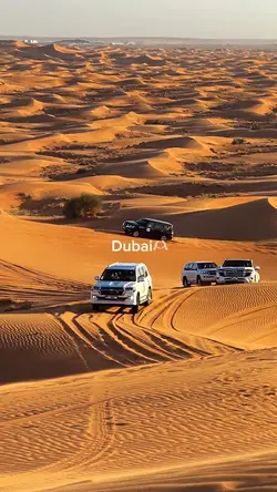 Dubai🫶🏻