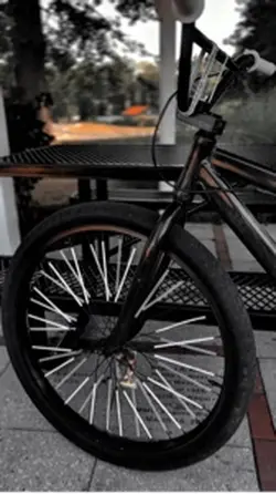 Se bikes 