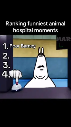 ANIMAL HOSPITAL