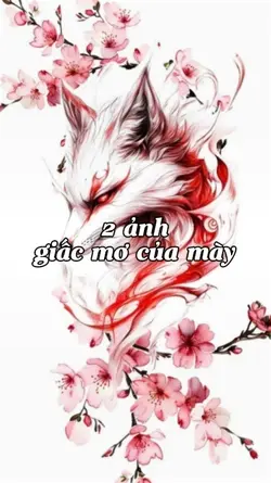 2 ảnh