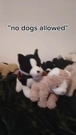 no problem!