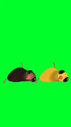 Pigeon pop dancing