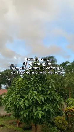 Bom diaa 