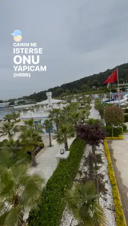 Yeni şablon