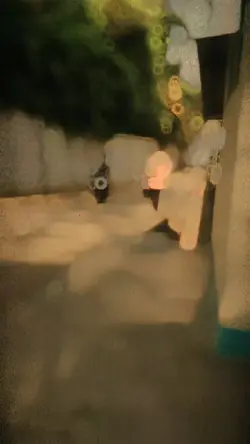 orang kocak 