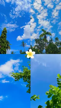 sky
