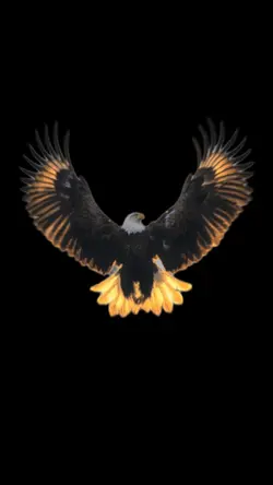 Shqipe 🦅