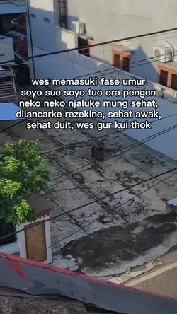 wes memasuki fase