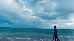 Palagi