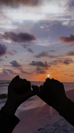 Say You Won't Let Go