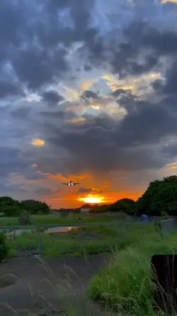 Mentahan Video
