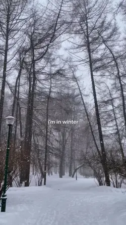 snow fall