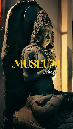 MUSEUM VIBES